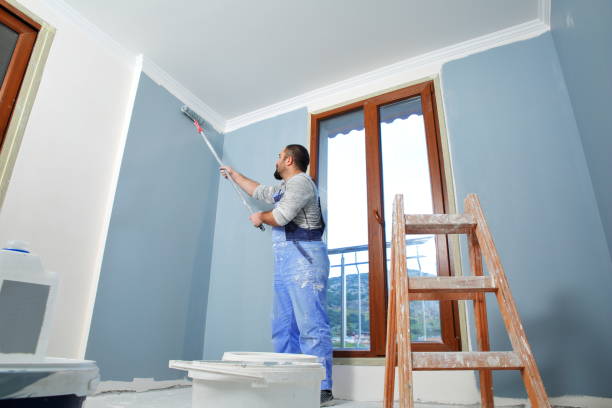 Best Fire-Damaged Drywall Repair  in Cocoa, FL